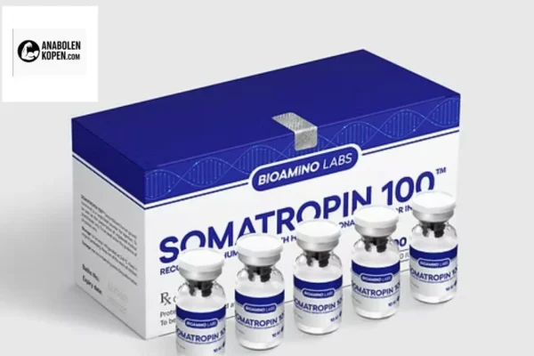 Dianabol kopen voor maximale spiergroei en krachtverbetering bij betrouwbare leverancier