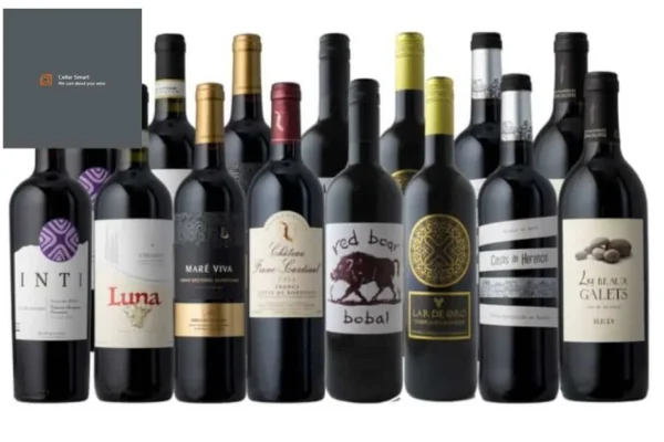 Stylish and Durable Metal Wine Racking for Modern Cellar Storage Solutions