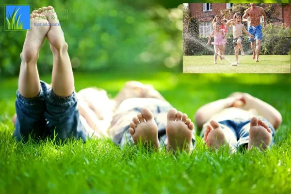 Effective Customized Lawn Fertilization Plans for a Healthier, Greener Yard