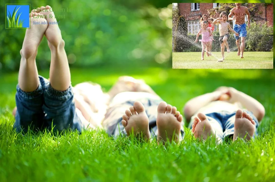 Effective Customized Lawn Fertilization Plans for a Healthier, Greener Yard