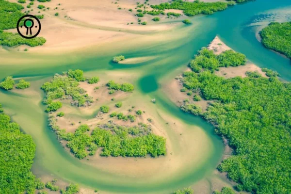Offres voyage Sénégal : découvrez des séjours authentiques et économiques