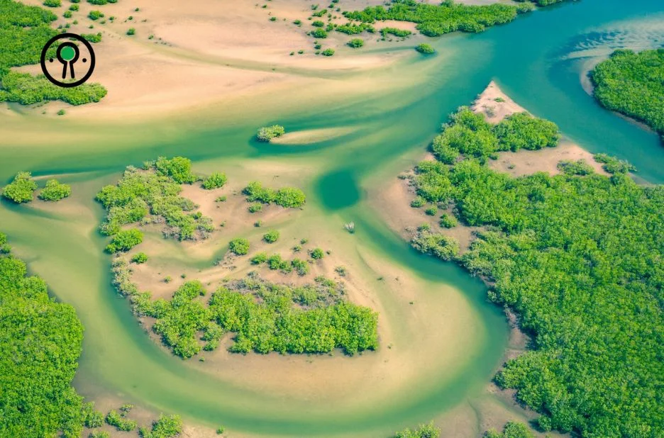 Offres voyage Sénégal : découvrez des séjours authentiques et économiques