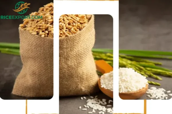 Top Rice Wholesalers in Lagos Nigeria for Premium Quality and Reliable Supply