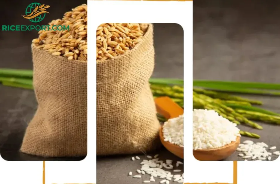 Top Rice Wholesalers in Lagos Nigeria for Premium Quality and Reliable Supply