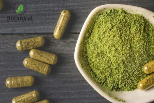 Buy Kratom Capsules for Pure and Potent Natural Relief