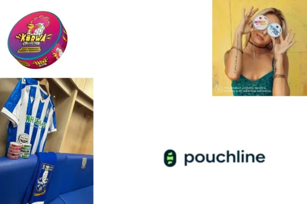 Shop Fruity Nicotine Pouches Online for Premium Flavors and Fast Delivery