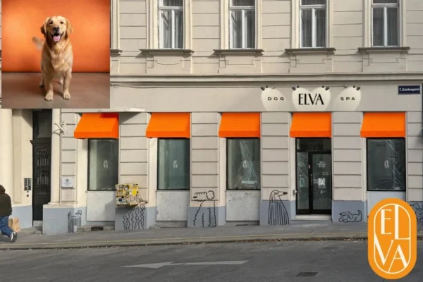 Hund Wellness Behandlung Wien – Entspannung und Pflege für Ihr Haustier