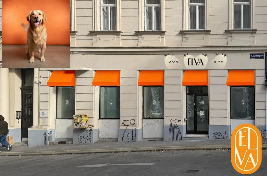 Hund Wellness Behandlung Wien – Entspannung und Pflege für Ihr Haustier
