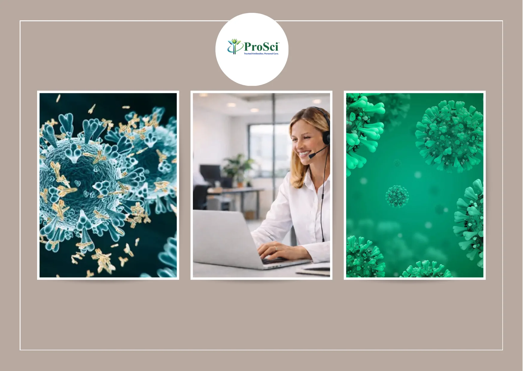 High-Quality Antibody For Pharma Research to Enhance Drug Development and Testing