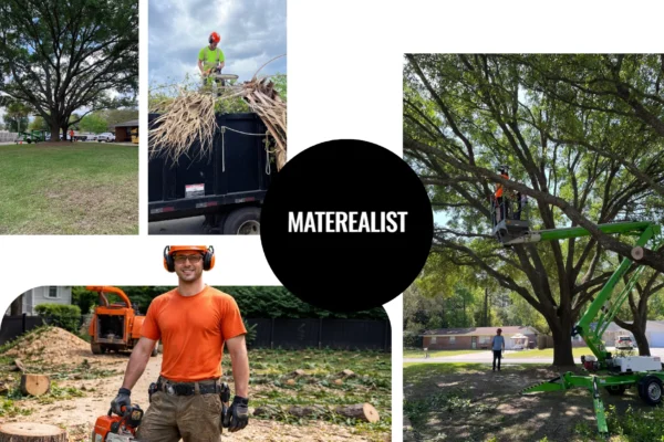 Trusted Tree Removal Company in Dothan AL for Safe and Efficient Services