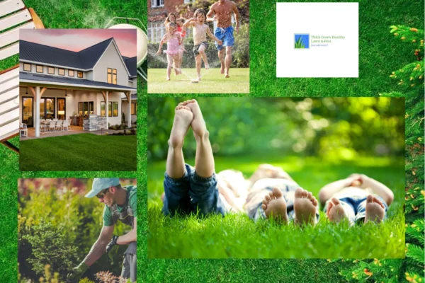Expert Lawn Care Services in Converse TX for Healthy, Vibrant Yards