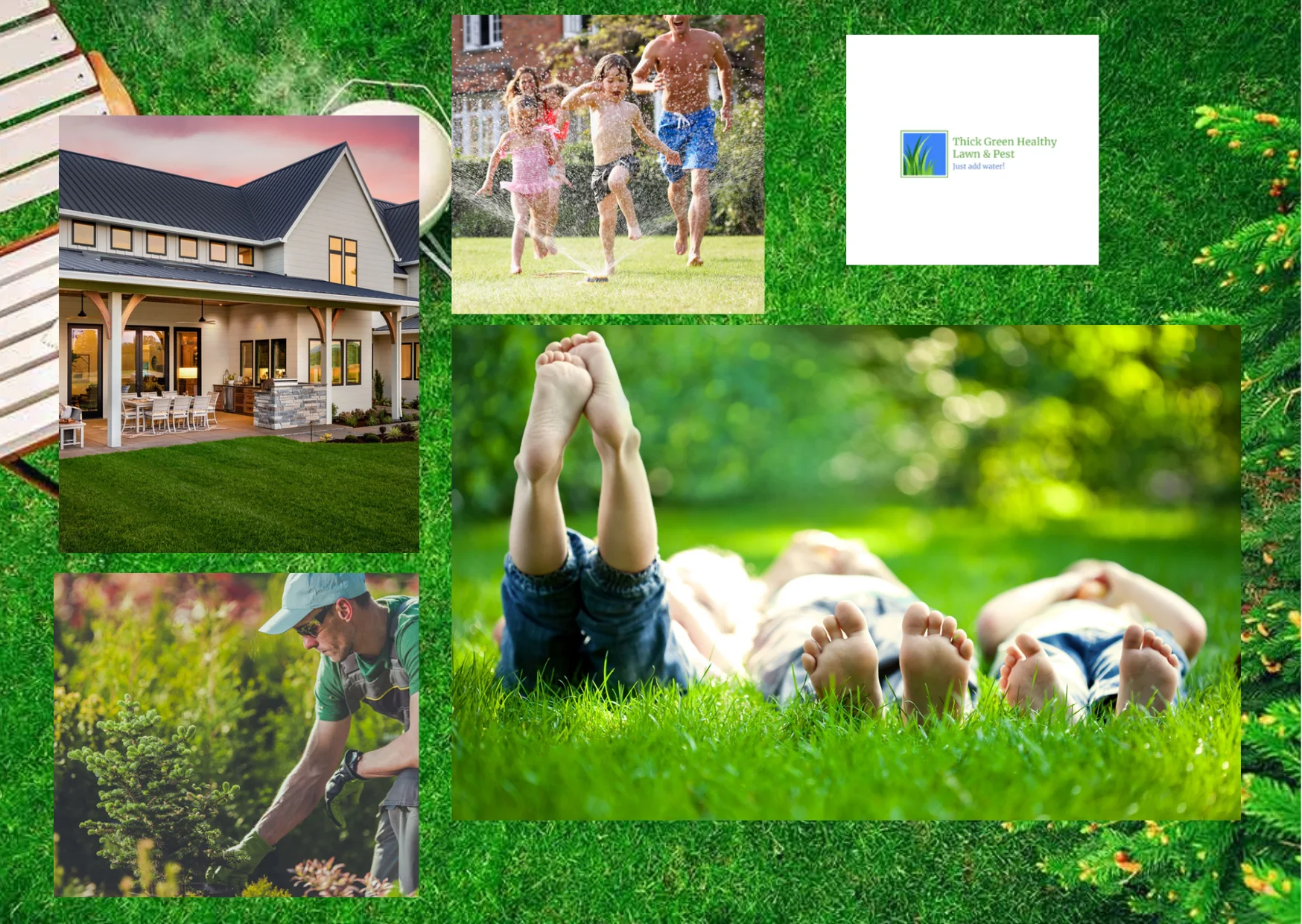 Expert Lawn Care Services in Converse TX for Healthy, Vibrant Yards