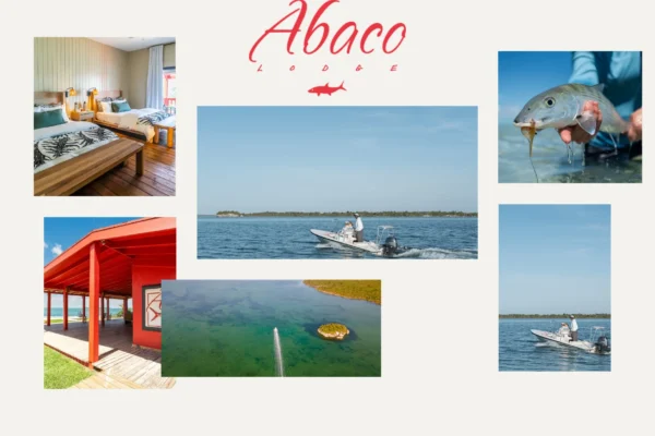 Ultimate Guide to Fishing in Abaco Bahama for Anglers