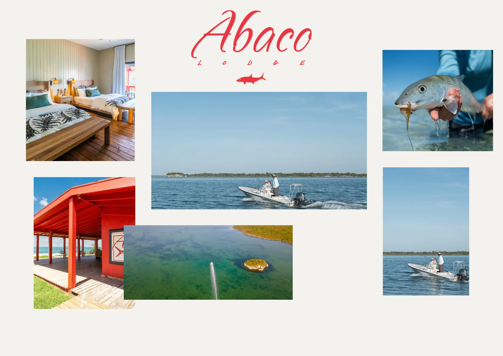 Ultimate Guide to Fishing in Abaco Bahama for Anglers