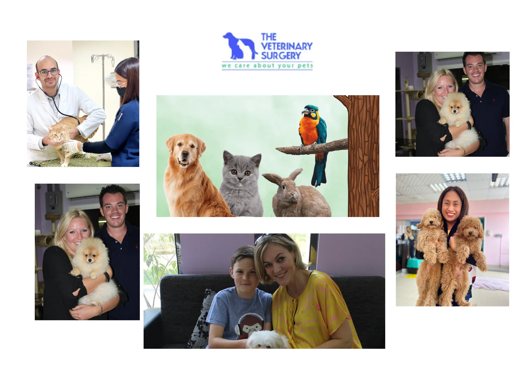 Trusted Doha Vets Qatar for Expert Pet Care and Wellness Services