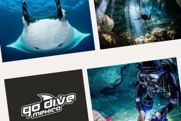 Ultimate Guide to Cenote Diving: Explore the Best Cenotes for Diving Adventures