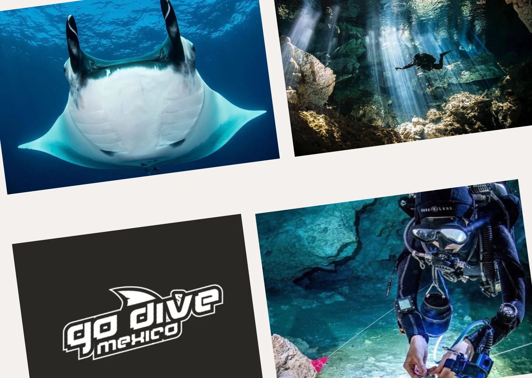 Ultimate Guide to Cenote Diving: Explore the Best Cenotes for Diving Adventures