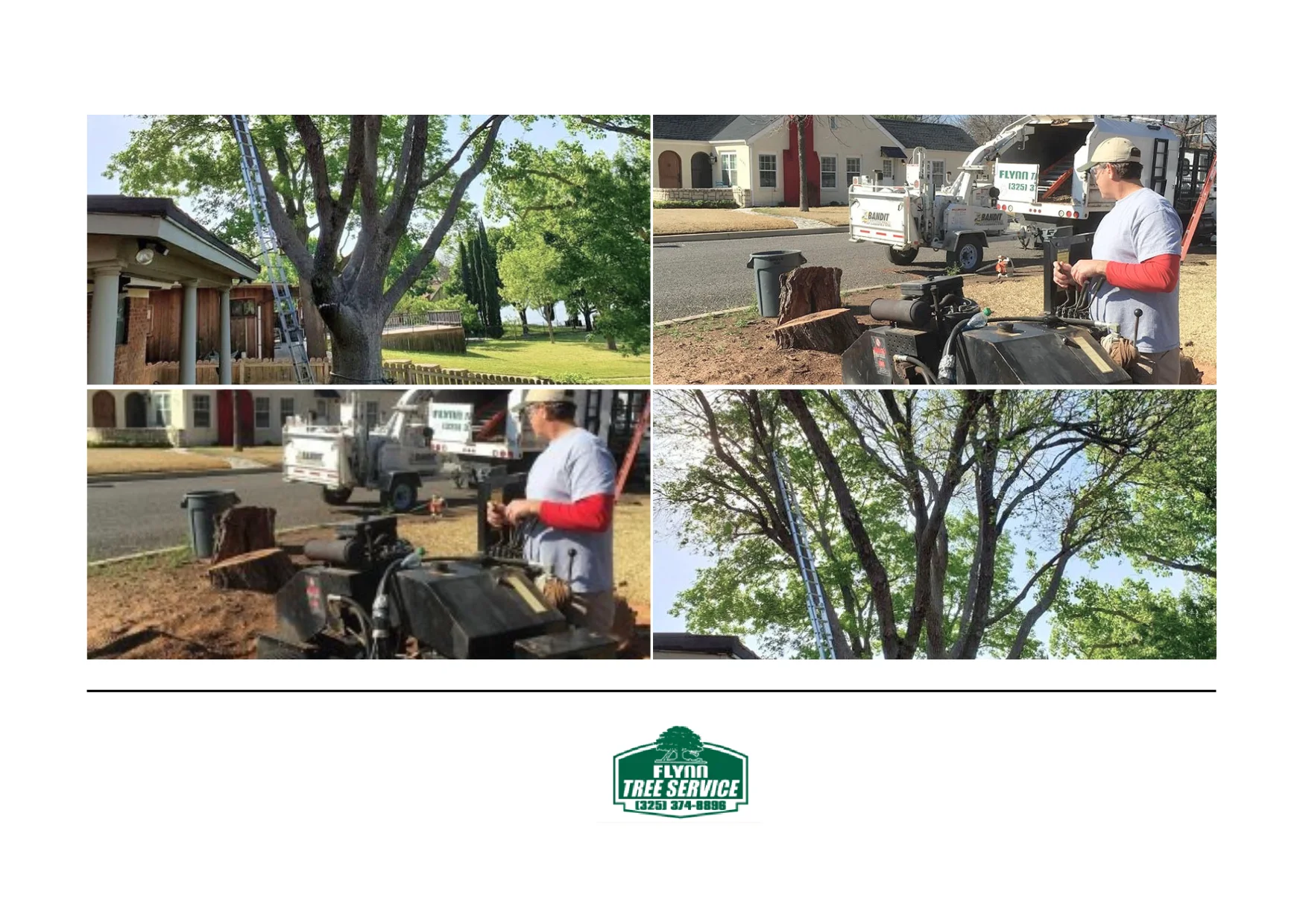 Expert Tree Trimming Services for Healthier, Safer, and Beautiful Trees