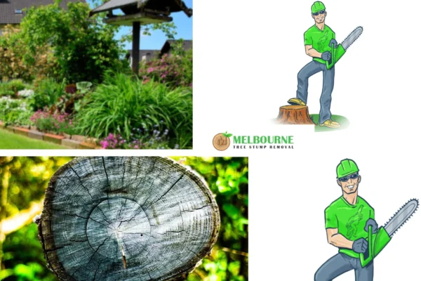 Affordable and Professional Stump Removal Services in Williamstown for Cleaner Gardens