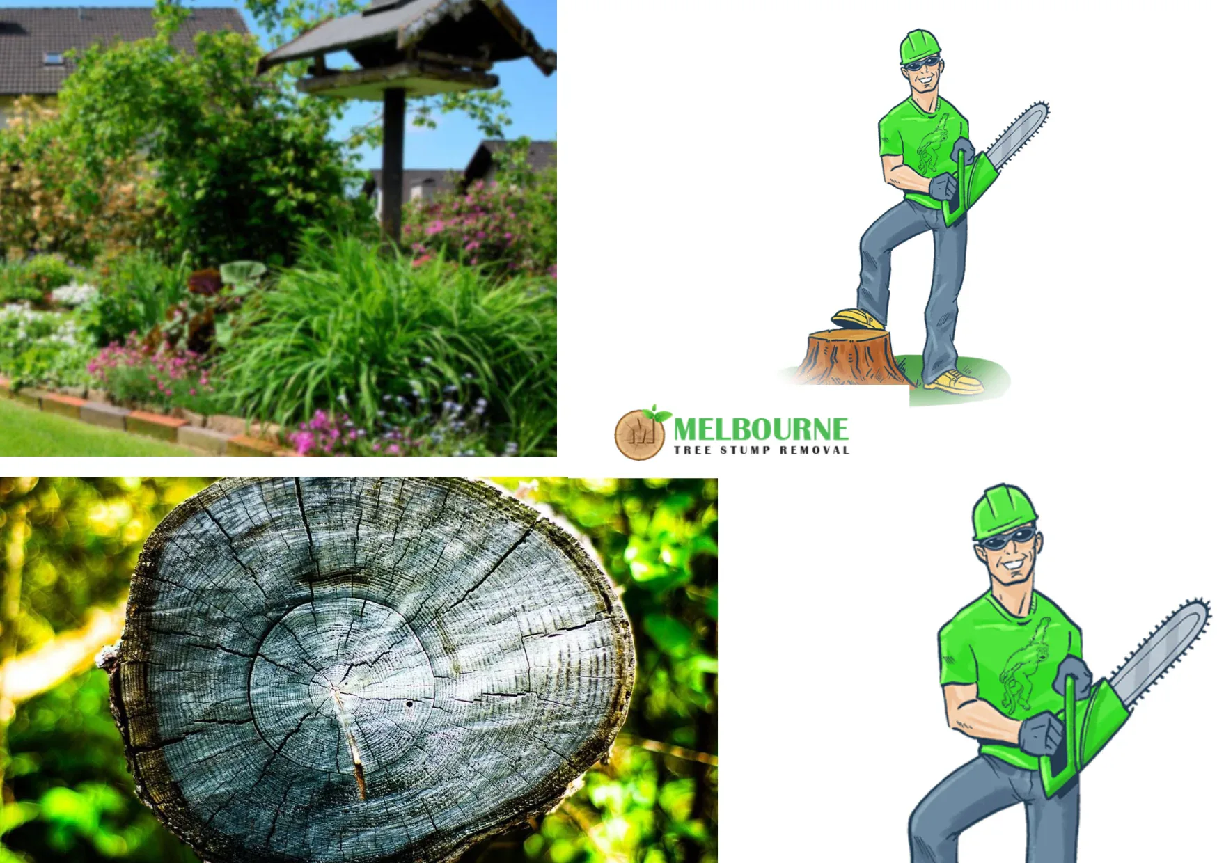 Affordable and Professional Stump Removal Services in Williamstown for Cleaner Gardens