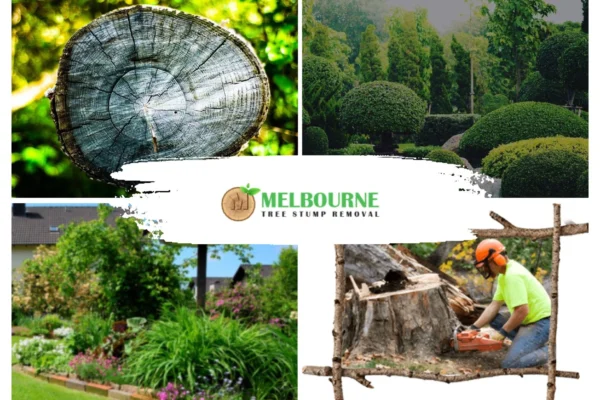 Expert Stump Removal Werribee Services for Clean and Safe Outdoor Spaces