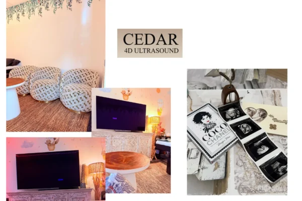 Affordable 4D Baby Ultrasound Perth | Clear Imaging and Family-Friendly Sessions at Cedar 4D Ultrasound