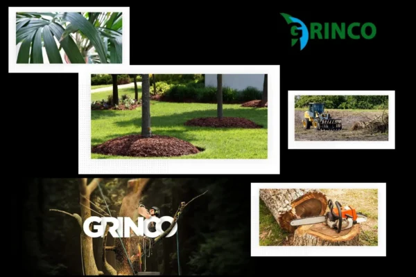 Professional Stump Removal Laverton Services for Clean and Safe Yards