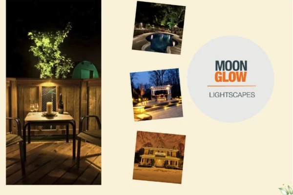 Enhance Your Space with Stunning Outdoor Lighting Solutions