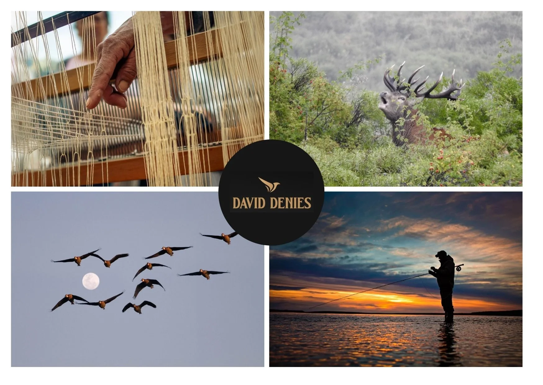 Best Cordoba Dove Shooting Lodges for Ultimate Hunting Experiences