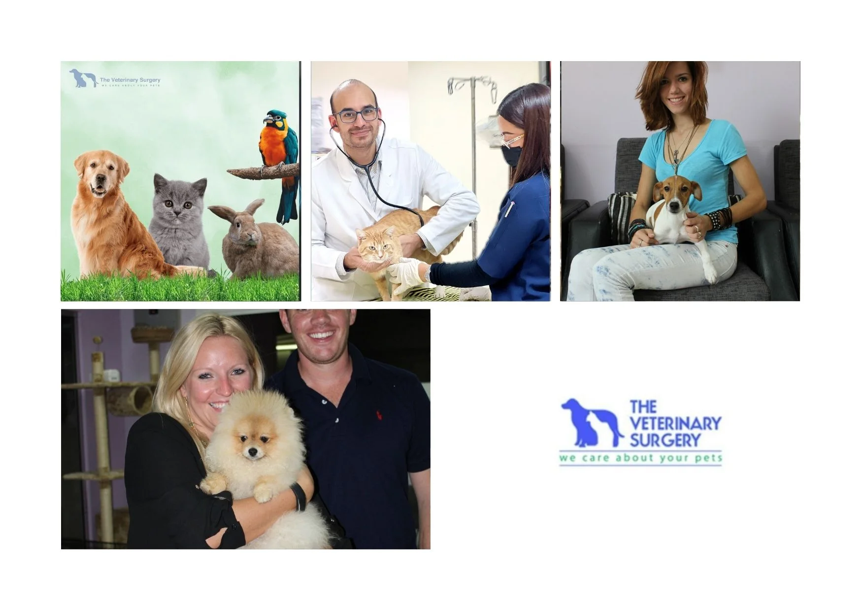 Trusted Doha Vet Clinic Providing Expert Veterinary Care for Pets