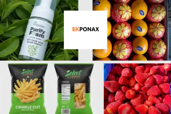 Top Frozen Vegetables Export Suppliers for the Middle East Market