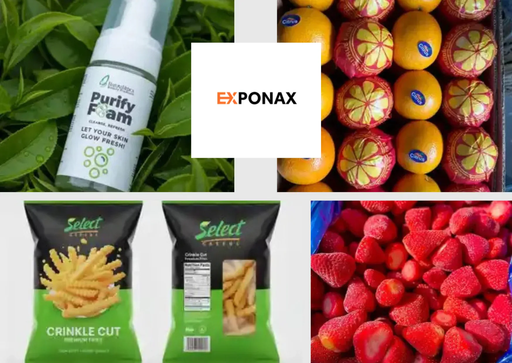 Top Frozen Vegetables Export Suppliers for the Middle East Market