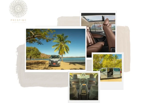 Experience Zero Emissions Luxury Transportation for Sustainable and Elegant Travel