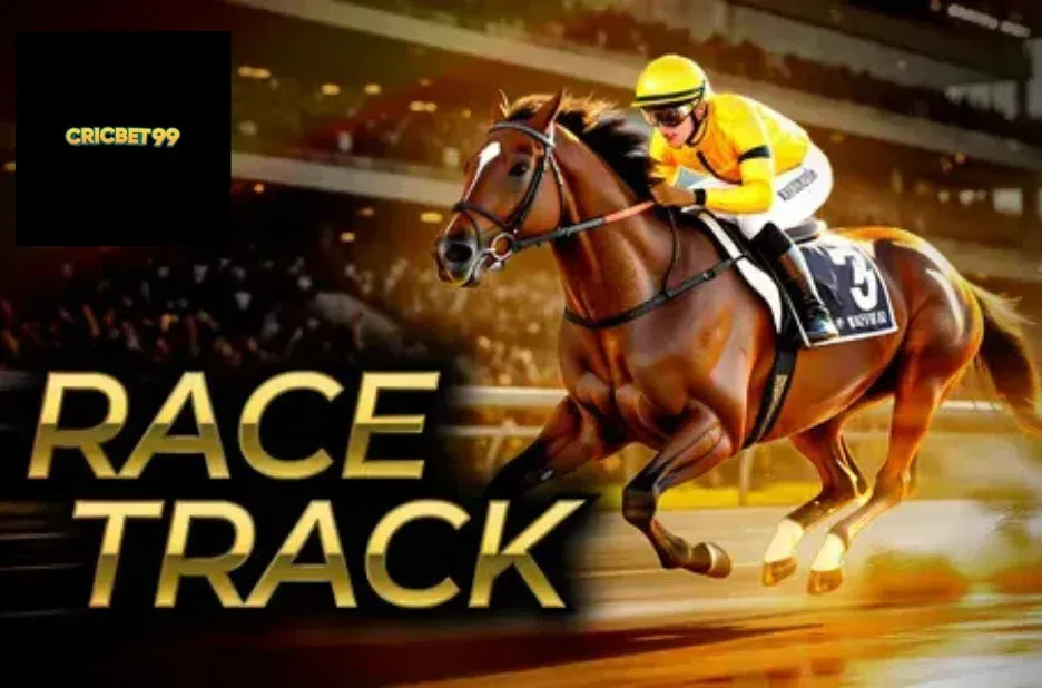 How to Choose Cricbet99 for a Secure and Thrilling Online Betting Experience