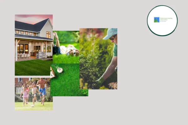Top Local Lawn Care Services for a Healthy and Beautiful Yard