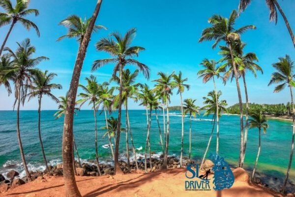 Best 7 Day Sri Lanka Tour with Expert Local Drivers | Sldriver.com Adventure Planner