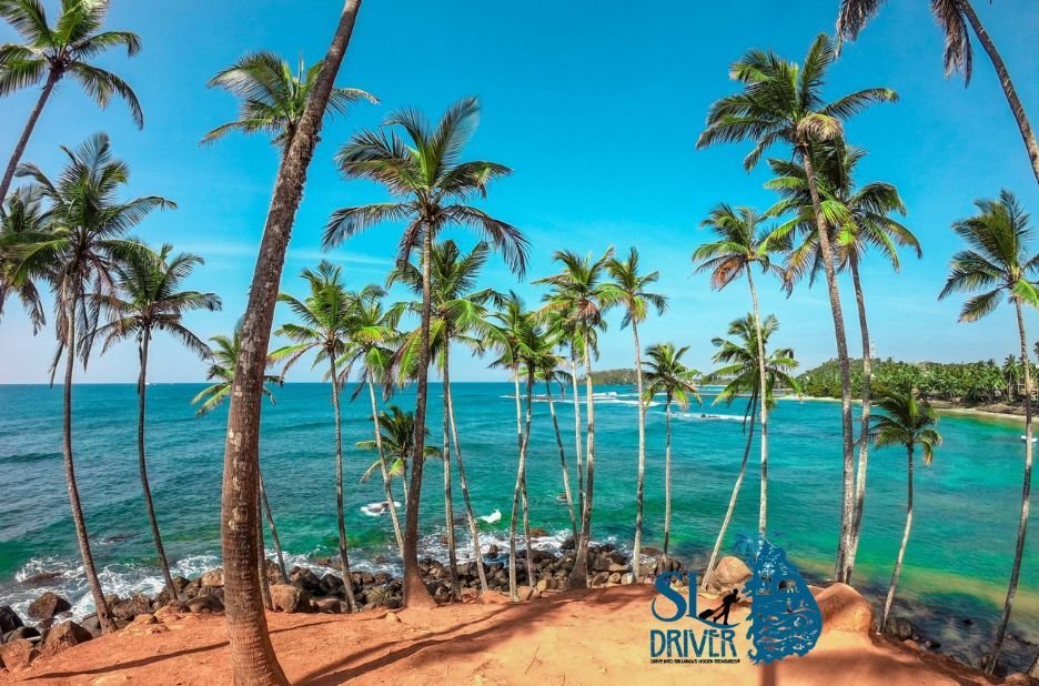 Best 7 Day Sri Lanka Tour with Expert Local Drivers | Sldriver.com Adventure Planner