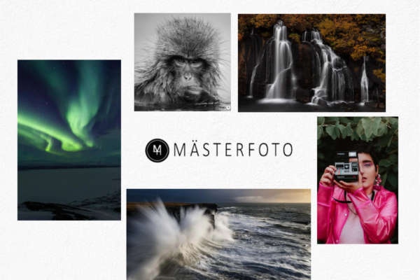 Fotokurs Göteborg med expert vägledning och praktiska övningar