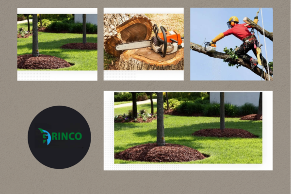 Grinco Tree Services: Tree Removal Melbourne Compared