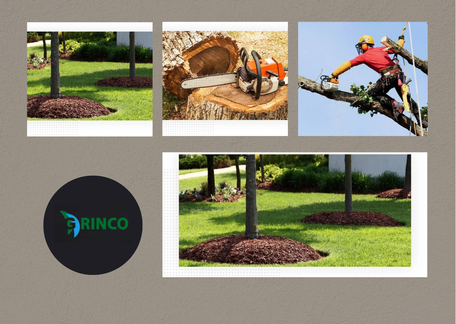 Grinco Tree Services: Tree Removal Melbourne Compared